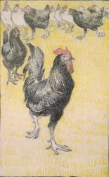 Kukko ja sitä seuraavat mustat ja valkoiset kanat, 1899