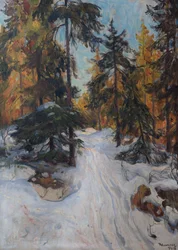 Metsän sisätilat, talvi