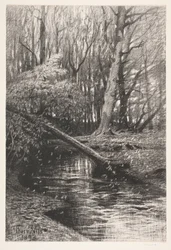 Metsämaisema puron kanssa
