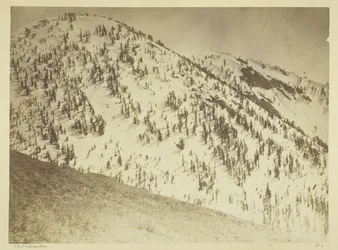 Snow Peaks, Bull Runin kaivospiiri, Nevada