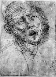 Maurin pää, noin 1525, 1937