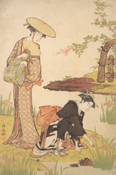 Iris Garden, n. 1784.