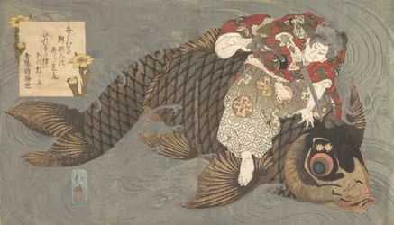 Shiei hänen karppillaan.