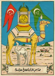 Salehin kameli, suura 7, jae 71: (...) tämä Jumalan kameli on sinulle merkki (...). Suosittuja kuvia, Tunisia