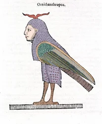 Ornithanthropos. Lintu, jolla on ihmisen pää. Ulisse Aldrovandi ""Hirvioiden historia"" Bologna 1642