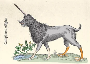 Kampuruksen esitys, Molukkisaarten hirviö Ulisse Aldrovandin (1522-1605) kaiverrus, "Monstrorum Historiae", Bologna 1642