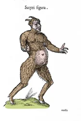 Satyyrin esitys. Ulisse Aldrovandin (1522-1605) luonnontieteellisen käsikirjoituksen levy hirviöistä