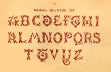 16. vuosisata. Henrik kahdeksas. MS., 1862