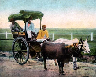 Bombay-rekla, Intia, 1900-luvun alku