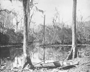 St. Johns Riverin syöttölaite, Florida, USA, n. 1900.
