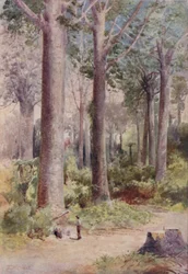 Kaurin metsä, 1923.