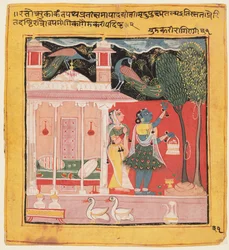Nainen poimimassa kukkia riikinkukkojen seurassa, Malkosin Gunakali Ragini, Chawand Ragamalasta, 1605