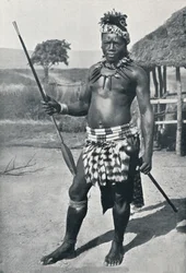 Zulun päällikkö, 1902