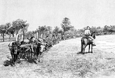 Vaunujen saattue, Etelä-Amerikka, 1895