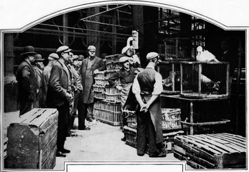 Leadenhall Marketin nurkka, Lontoo, c1901 1901