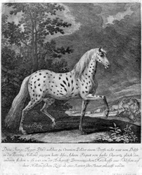 Värifriikki, Saksa, 1722 1938