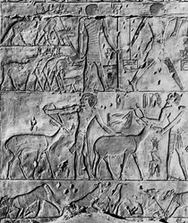 Metsästyskohtaus Ptahhotepin haudasta lähellä Saqqaraa, Egypti, n. 2650 eKr. 1936