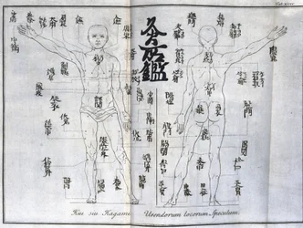 Akupunktio: ihmiskehon kartta, johon on merkitty moksibustiopisteet, Japani (moksaa koskeva kaavio, noin 1690)
