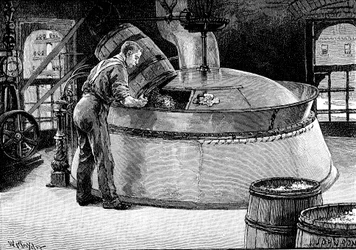 Humalan lisääminen oluen keittoon amerikkalaisessa panimossa, 1885