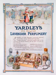 Yardleys Old English Lavender -hajuveden mainos, 1923
