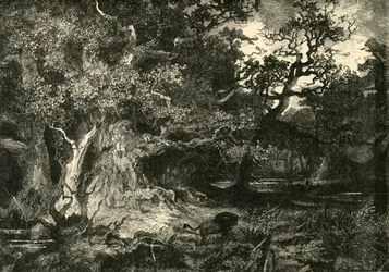 Vanha saksalainen metsä, 1890.