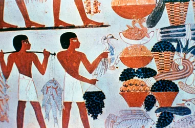 Muinaiset egyptiläiset seinämaalaukset haudassa Thebassa, Egyptissä