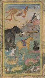 Eläimet ja linnut, 1600-luku.