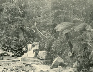St. Crispins Well, 1901.