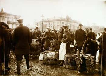 Lintutori, Trubnaja-aukio, Moskova, Venäjä, 1908