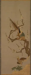 Linnut puussa, 1700-1800-luku.