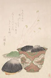 Kulho mustilla kuorilla ja Udo-kasveilla, 1700-1800-luku.