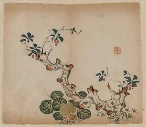 Branching Stump, 1368-1644.