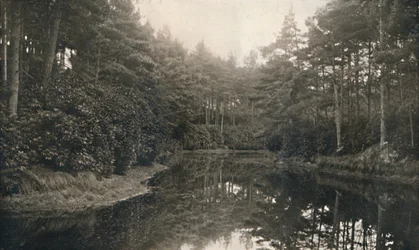 Branksome Chine and Lake, 1910