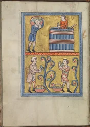 Kalenteri, syyskuu, miehet poimivat ja polkevat viinirypäleitä - Akvitanian Eleanorin psalttari (n. 1185) - KB 76 F 13, folium 009v.