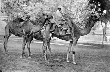 Campbellpore, Pakistan, 1900-luku