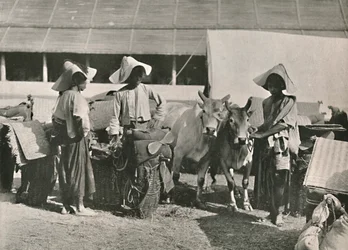 Karavaanikohtaus Shansin kanssa Bhamossa, 1900.