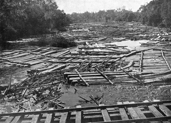 Setripuut Tebicuary-Guazu-joella kellumassa rautatiesillan vieressä, Paraguay, 1911