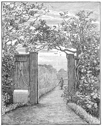Charles Darwin hiekkakävelyllä Down Housessa, n. 1870 1887