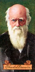 Charles Darwin, otettu savukekorttisarjasta, 1935