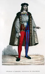 Charles dAmboise, Chaumontin lordi, 1882-1884