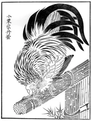 Kukko, 1400-luku 1886