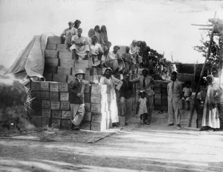 Kookoksen tuotanto, Intia, 1900-luku