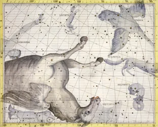 Pegasuksen tähdistö, 1729