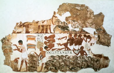 Hanhien laskeminen: katkelma seinämaalauksesta Nebamunin haudasta, Thebes, Egypti, n. 1350 eaa.
