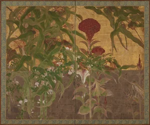 Coxcombs, maissi ja aamun loistot, Momoyama-kausi, 1600-luku.