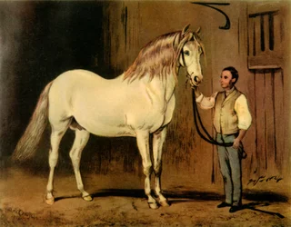 "Cream State Carriage Horse of Queen Victoria