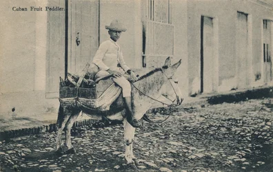 Kuubalainen hedelmäkauppa, c1908