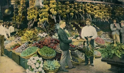 Kuuban hedelmäkauppa, c1910
