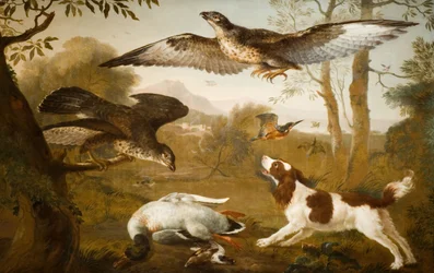 Koira, joka vartioi petolintujen kuollutta ankkaa, 1700-1800.
