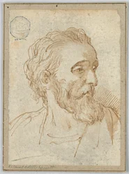 Piirustus (Italia)